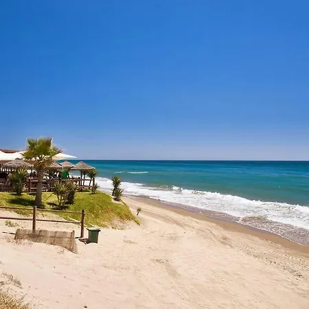 Oleholidays 1133 Romana Playa Primera Linea Playa