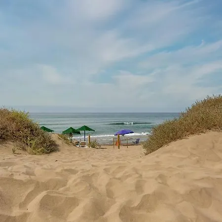 Oleholidays 1133 Romana Playa Primera Linea Playa